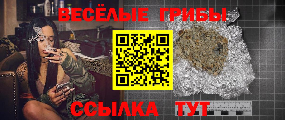 Псилоцибиновые грибы GOLDEN TEACHER Карабулак